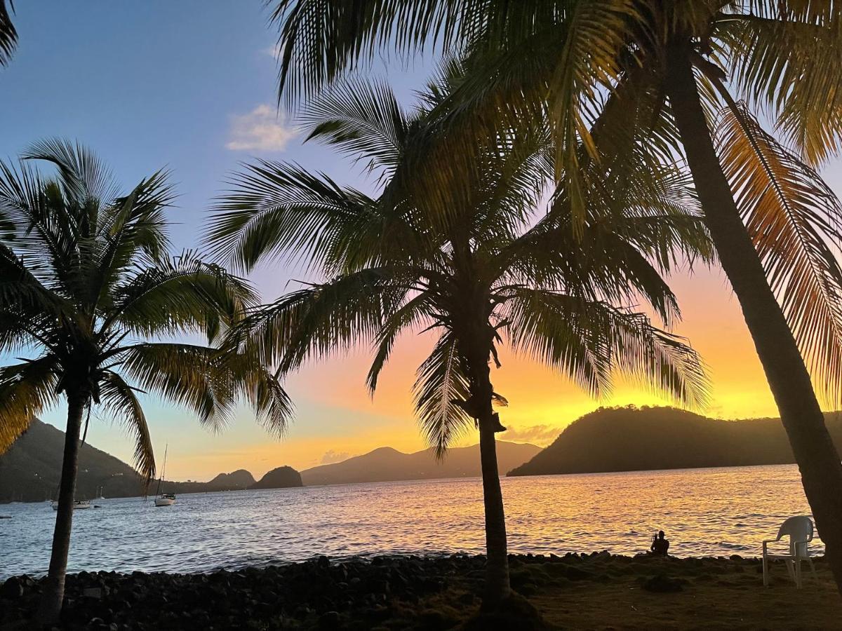 Blue Lagoon, Cottage Les Pieds Dans L Eau Terre-De-Haut Exterior foto